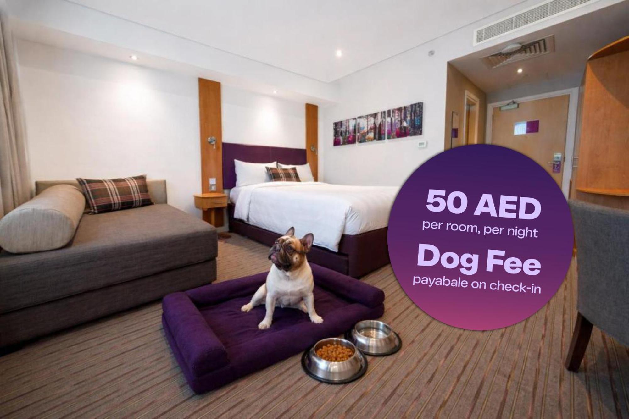 Dog friendly room non smoking 1 dog allowed