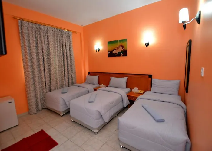 Dubai Youth Hotel admite animales